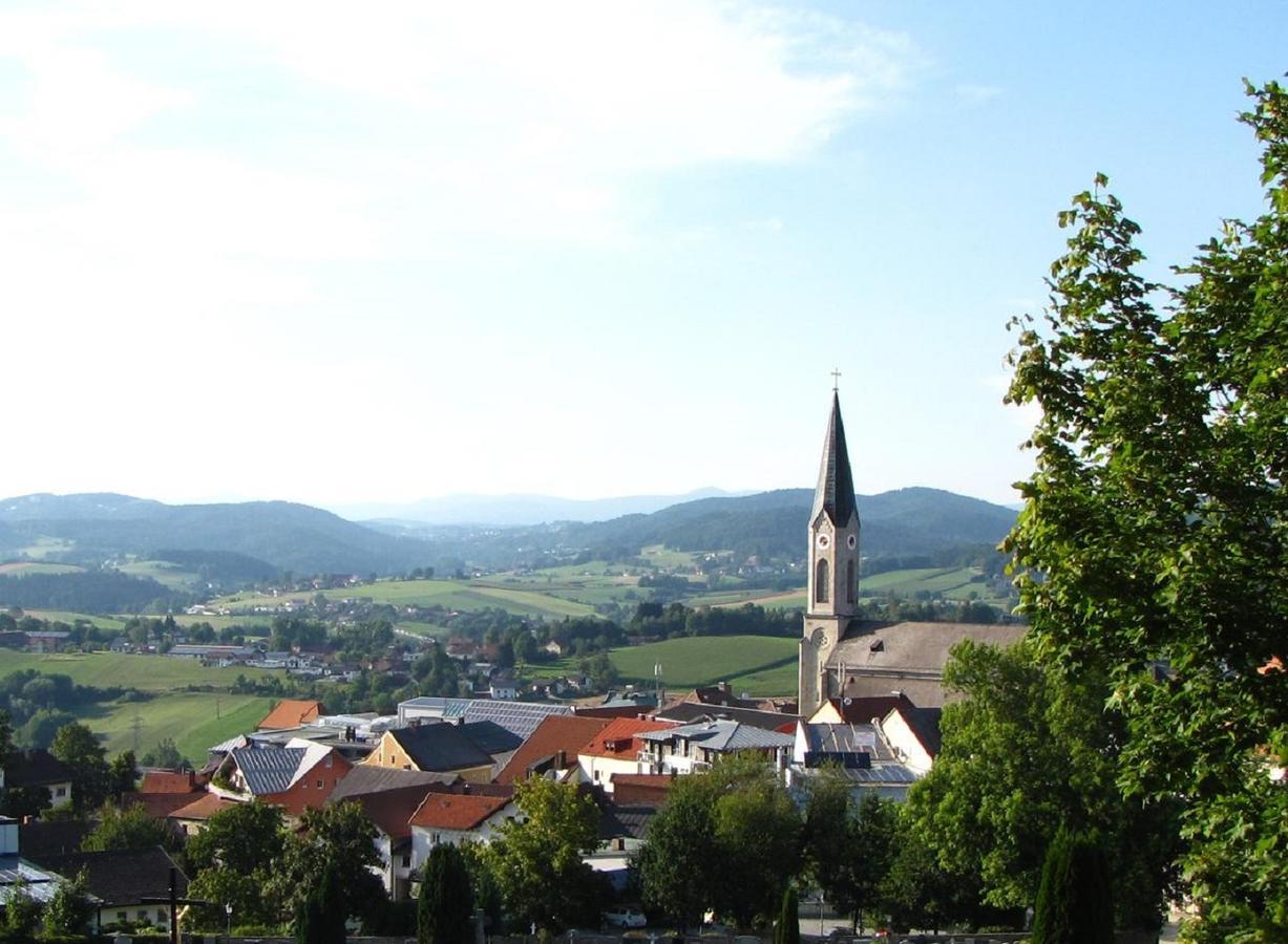 Ferienwohnung Am Woid - Herrliche Alleinlage - Vegane Einrichtung Waldkirchen Exterior photo